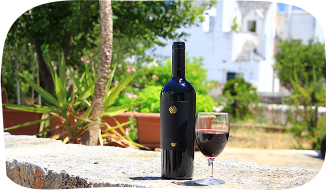 Wine tasting Apulia