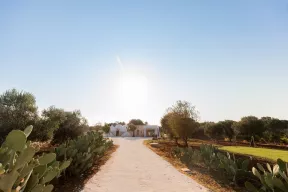 Trullo delle Stelle con piscina privata in affitto in Puglia